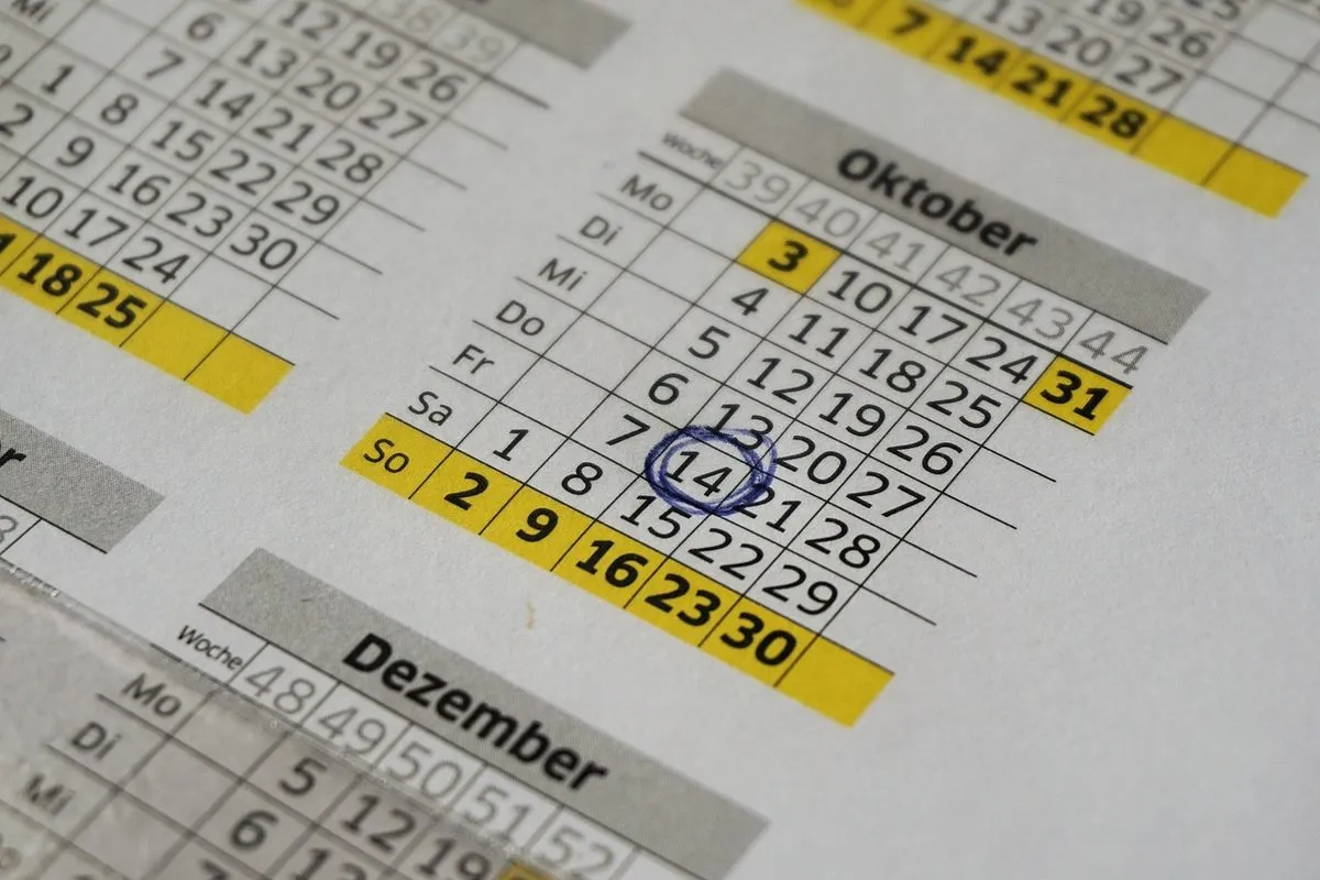 calendar, annual calendar, office, events, planning, plan, note, year, date, circled, calendar, calendar, calendar, calendar, calendar